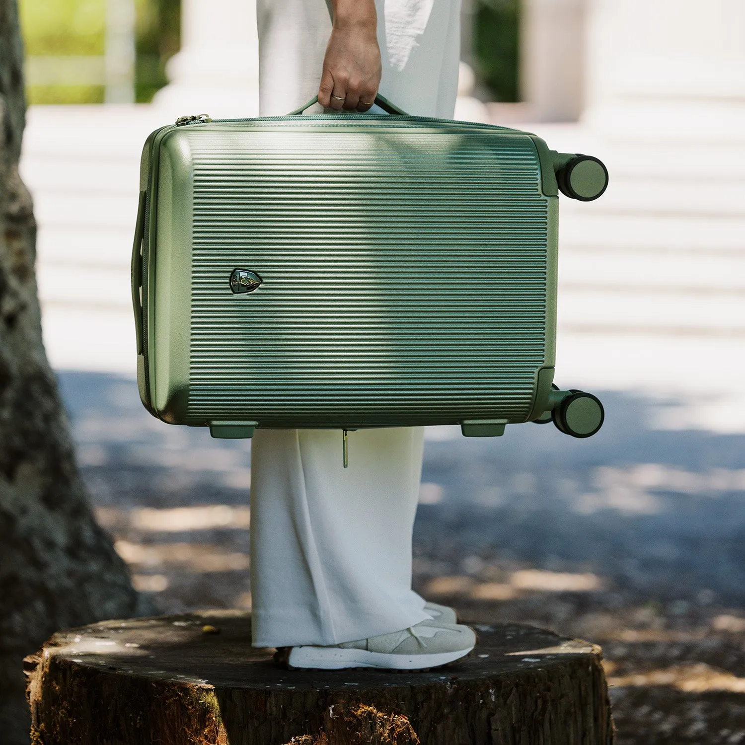Earth Tones 21.5 Inch Carry-on Luggage