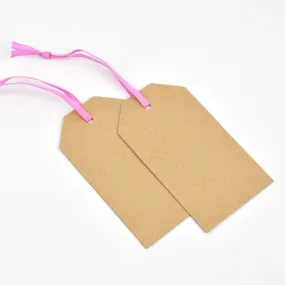 Luggage Kraft Gift Tags Baby Pink (50)
