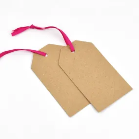 Luggage Kraft Gift Tags Cerise (50)