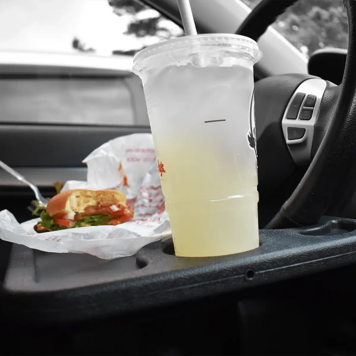 Recycled Plastic Car Tray -B5080